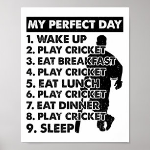 Poster Plano de Dia de Críquete Jogador de Críquete