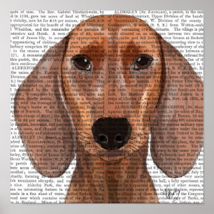 Poster Plano de Ilustração de Dachshund