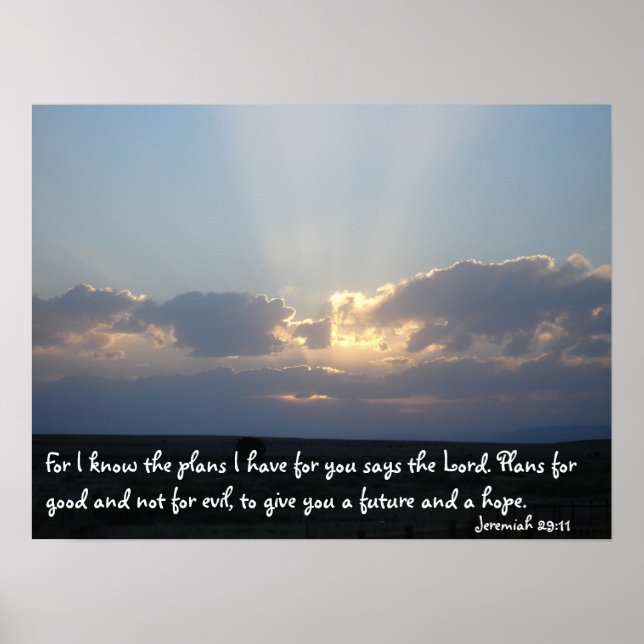 Pôster Planos (Frente)