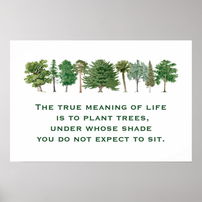 Poster Plant Trees Meaning of Life Environmental Saying B (Frente)