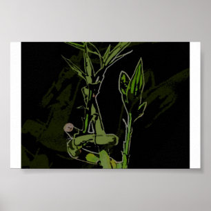 Pôster Planta de bambu
