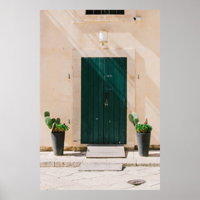 POSTER PLANTA DE CACTÃO VERDE PERTO DA PORTA VERDE (Frente)