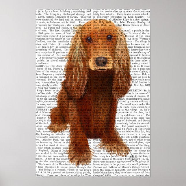 Poster Planta de Cocker Spaniel (Frente)