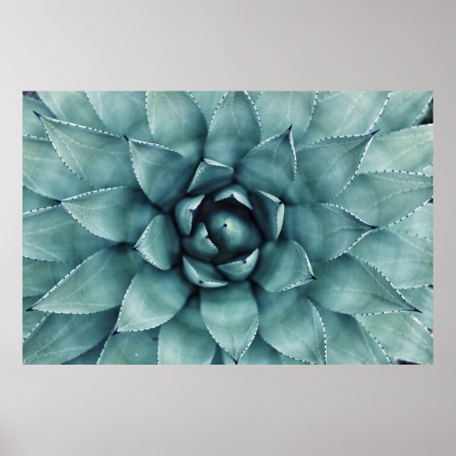 Poster Planta de folha verde (Frente)