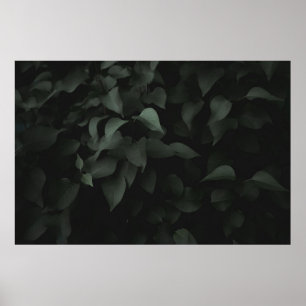 POSTER PLANTA DE FOLHA VERDE