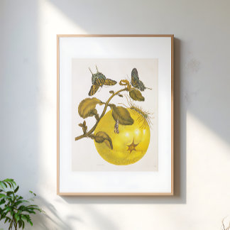 Poster Planta de Limão Vintage com Borboletas Arte Amarel