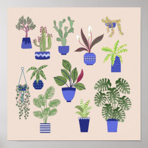 Poster Planta Doméstica Suculenta Cactus Rosa