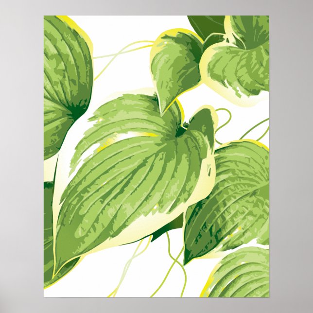 Poster Planta Ficus 2 (Frente)