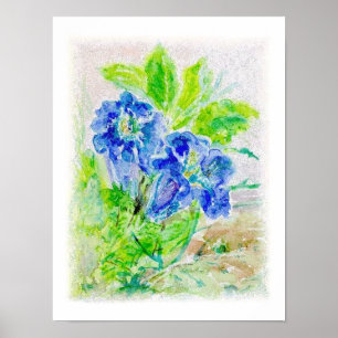 Poster Planta flores azuis ilustrações