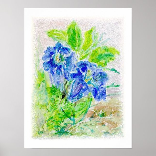 Poster Planta flores azuis ilustrações (Frente)