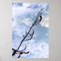 planta perrenal invasiva de algas japonesas