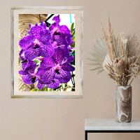 Planta Tropical Orquídea de Flor Roxo