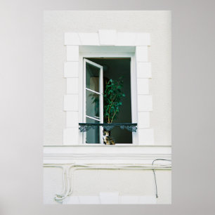 POSTER PLANTA VERDE NA JANELA BRANCA