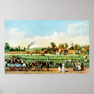 Poster Plantação de algodão em Mississippi