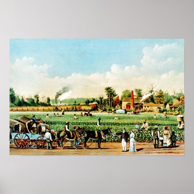 Poster Plantação de Algodão no Mississippi (Frente)