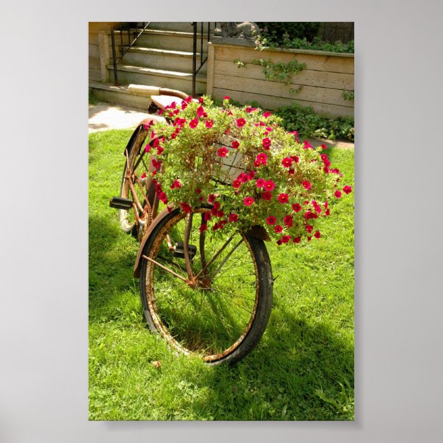 Pôster Plantador de Flores de Decoração Lançada de Bicicl (Frente)