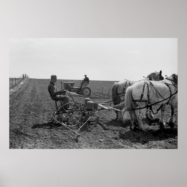 Poster Plantador de Milho Desenhado em Cavalo, 1940 (Frente)