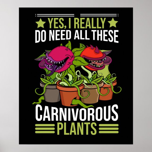 Poster Plantas Carnívoras Presentes Homens Sarracenia Ven (Frente)