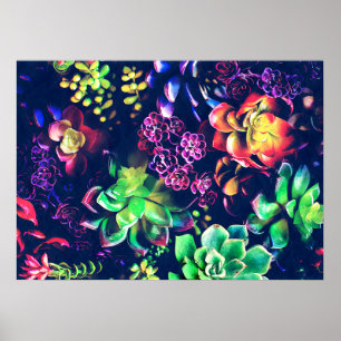 Pôster Plantas Coloridas