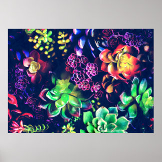 Pôster Plantas Coloridas