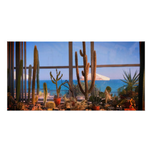 Pôster Plantas de cactos e mar