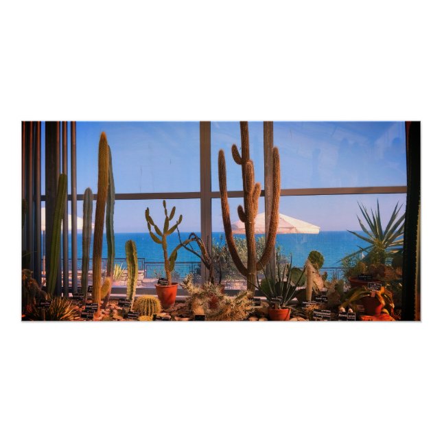 Pôster Plantas de cactos e mar (Frente)