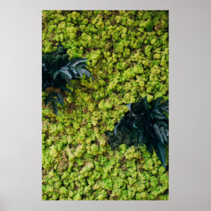 Poster Plantas de folhas verdes