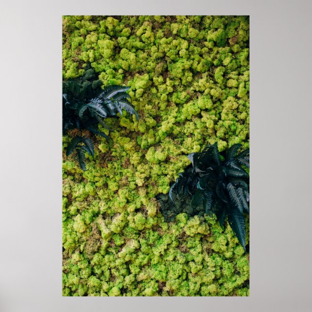 Poster Plantas de folhas verdes (Frente)