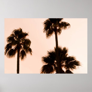 POSTER PLANTAS DE PALMAS FOTOGRAFIAS DE BAIXO ÂNGULO
