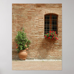 Poster Plantas de pote de Toscânia