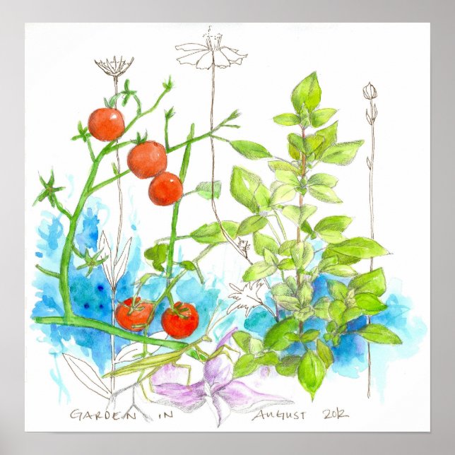 Pôster Plantas De Tomate Basil: Flores De Aquarela (Frente)