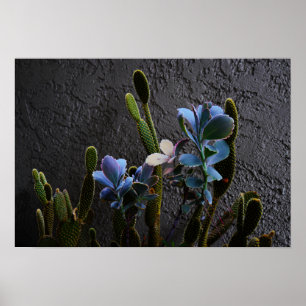 Pôster Plantas do deserto