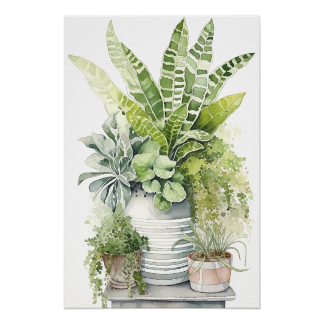 Pôster Plantas Domésticas (Frente)