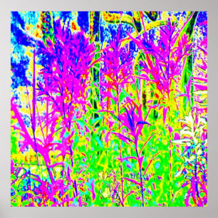 Pôster Plantas dos grafites n: Ponte Toronto do rio de