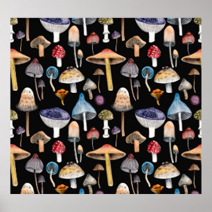 Poster Plantas florestais: cogumelos aquosos, folhas