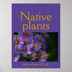 Poster Plantas nativas são onde está a coisa