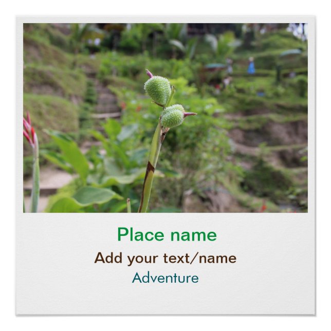 Pôster Plantas naturais fotografia água de praia viagem (Frente)