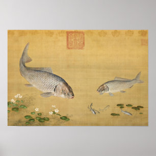 Poster Plantas piscícolas e aquáticas de Giuseppe Castigl