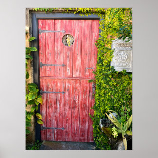Poster Plantas Rosa Plantas Madeira Door Rua Augustine Fl