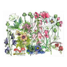 Plantas Venenosas Plantas Herbáceas Flores Aquátic