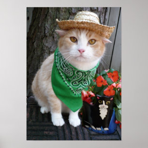 Pôster Plante alguma coisa