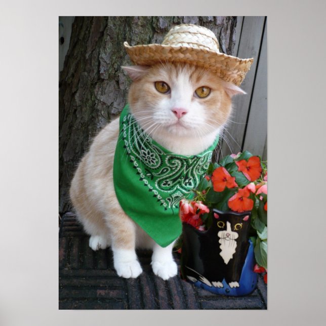 Pôster Plante alguma coisa (Frente)