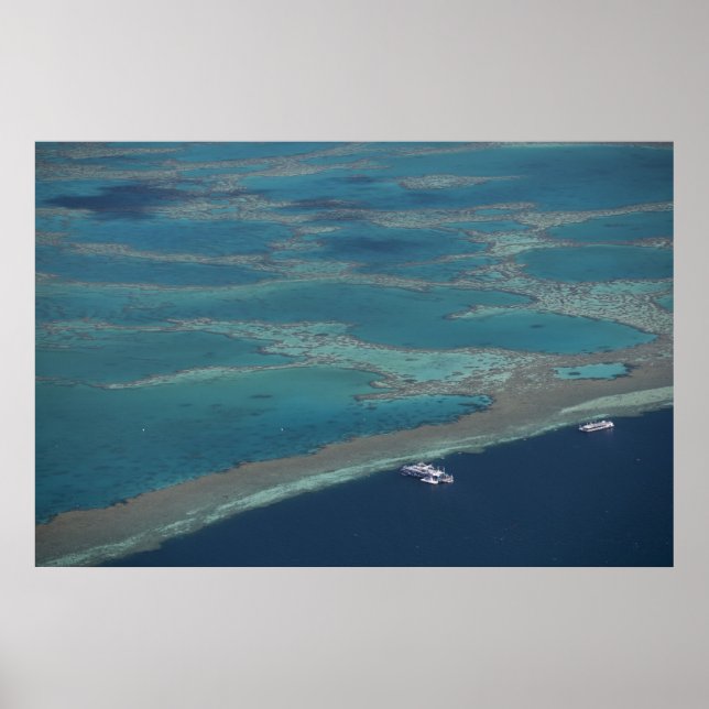 Pôster Plataformas de mergulho perto do recife, barreira  (Frente)