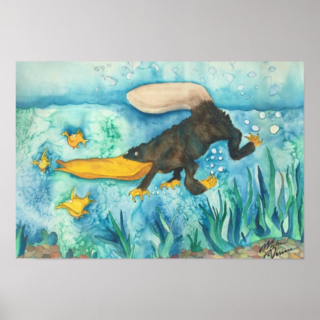 Poster "Platty" o Platypus por Mike Quinn (Frente)