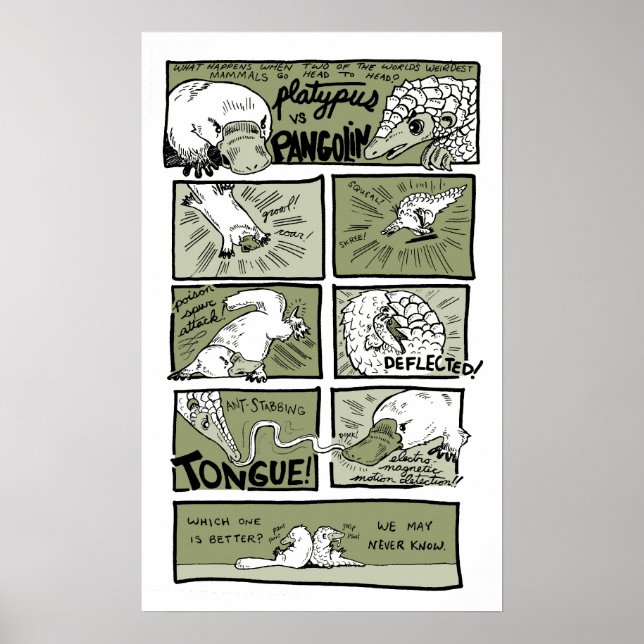 Poster Platypus vs Pangolina (Frente)