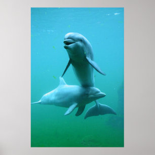 Poster Playtime