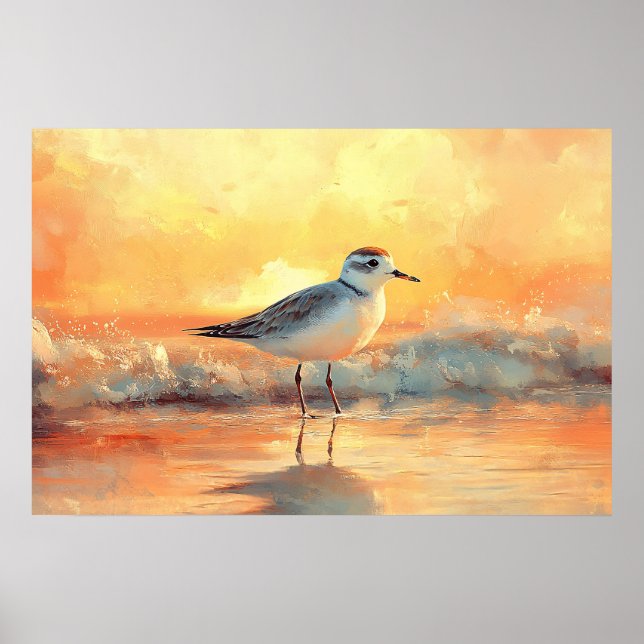 Poster Plover Standing in Ocean Waves During Sunset (Frente)