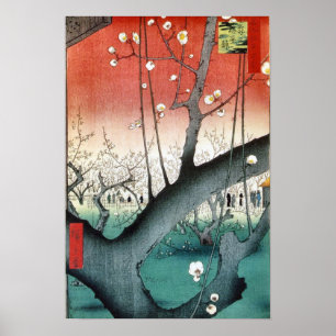 Poster Pluma