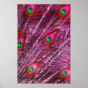 Poster Plumagem de cor de penas de pavão vermelho