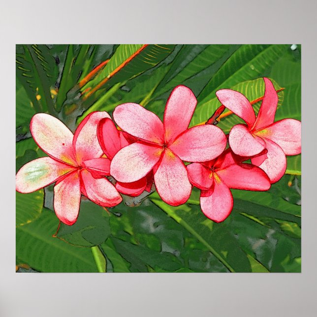 Poster Plumerias (Frente)